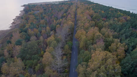Fast-Drone-Flight-along-straight-road-through-verdant-autumn-forest