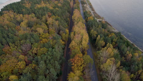 Colourful-forest-with-road-running-alongside-coastal-peninsula,-drone-view