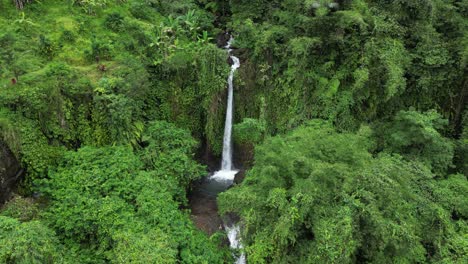 Twin-waterfalls-in-the-depths-of-a-jungle-in-the-East-of-Bali,-aerial