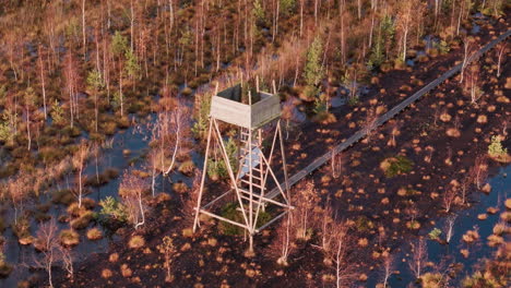 Circular-drone-shot-captures-wooden-watch-tower-in-overgrown-lake-during-autumn-morning-hours
