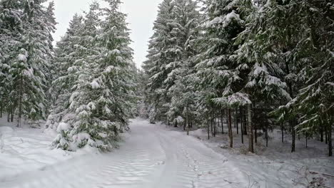 Shot-while-walking-through-an-empty-snow-covered-road-between-dense-pine-forest-on-a-cloudy-day
