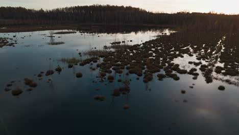 Drone-shot-captures-an-overgrown-lake-during-the-enchanting-golden-hour-of-autumn