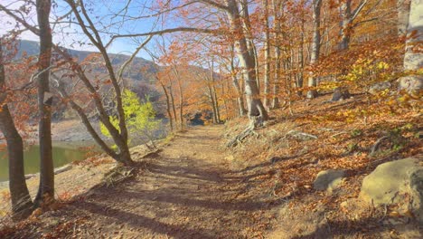Montseny-in-Catalonia,-autumn-Colorful-autumn-in-the-mountain-forest-ocher-colors-red-oranges-and-yellows-dry-leaves-beautiful-images-nature-without-people-Montseny-in-Catalonia,-autumn