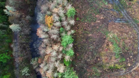 Luftaufnahme-Der-Auswirkungen-Der-Abholzung-Neben-Einem-Fluss