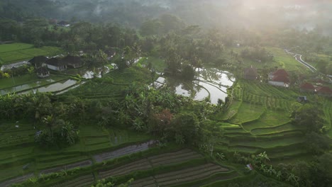 Ein-Atemberaubender-Sonnenaufgang-Im-Osten-Balis-Im-Sommer-Mit-Reisterrassen-Und-üppigen-Grünen-Bäumen,-Luftaufnahme