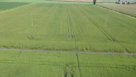 Aerial-shot-of-an-Italian-rice-paddy