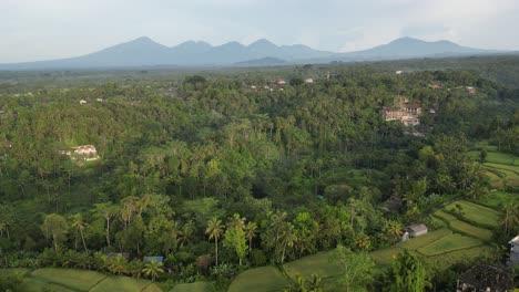 Early-morning-light-hitting-the-coconut-trees-and-mountains-near-Ubud-in-Bali,-Indonesia