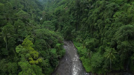 Entorno-Selvático-Con-Un-Río-Escondido-En-Las-Profundidades-De-Bali,-Indonesia