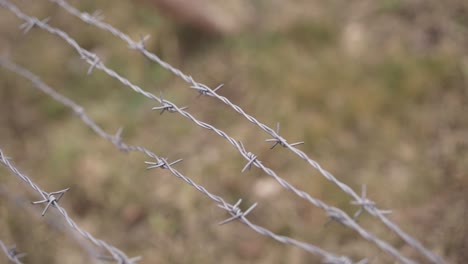 Barbed-wire---slow-motion