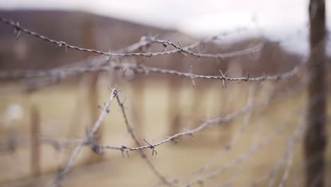 Barbed-wire---the-Iron-Curtain-border