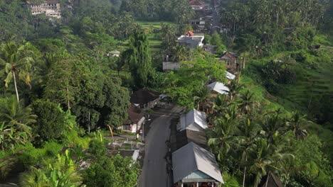 Road-surrounded-by-jungle-environment-in-the-depths-of-Bali,-Indonesia