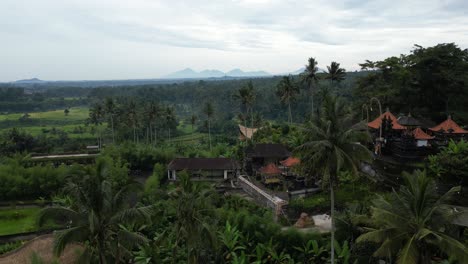 Distant-volcanoes-with-fields-of-coconut-trees-on-a-cloudy-morning-in-Bali,-aerial