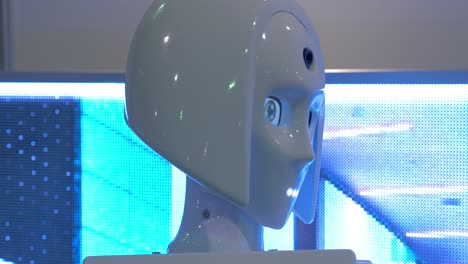 Speaking-robot-promoter-at-Robotics-Expo