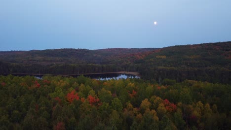 Autumn-forest-near-lake,-moon-shines-in-the-night-sky
