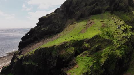 Eine-Sich-Nähernde-Luftaufnahme-Zeigt-Grasende-Schafe-Und-Ziegen-Am-Grünen-Hang-Eines-Berges-Auf-Der-Orchideeninsel-In-Taiwan,-蘭嶼,-Lanyu