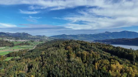 Aerial-Flying-Over-Autumnal-Forest-Landscape-Beside-Lake-Zurich-With-Mountains-In-The-Background
