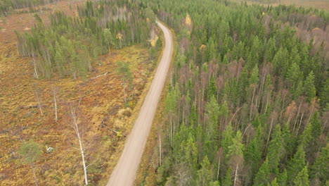 Dirt-Road-Amid-The-Autumn-Forest-With-Birches-And-Firs-In-Sweden
