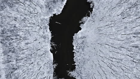 Der-Filmische-Schwung-Einer-Drohne-über-Dem-Schneebedeckten-Blätterdach-Eines-Waldes-Und-Eines-Flusses