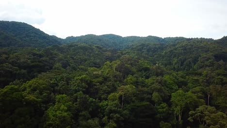 Tropical-Rainforest-Canopy-In-Africa---aerial-drone-shot