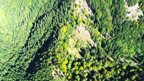 aerial-flight-over-green-forest-on-a-mountain-side,-4k