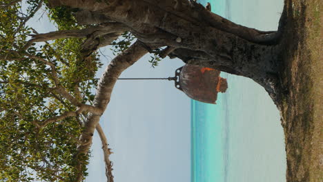 Swing-hanging-from-a-tree-on-a-pristine-beach---vertical