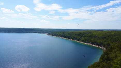 Soaring-Birds-Over-Forests-Of-Georgian-Bay-In-Ontario,-Canada