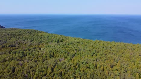Reveal-movement-in-a-well-forested-area-in-Georgian-Bay,-Ontario,-Canada