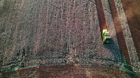 Top-down-view-of-a-combine-harvester-working-in-a-cotton-field-in-Georgia