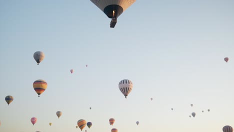 Sunrise-golden-hour-sky-crowded-with-hot-air-balloons