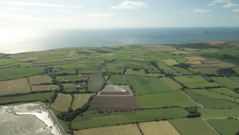 Tierras-Cultivadas-Costeras-Con-Campos-Agrícolas-En-El-Condado-De-Cork,-Irlanda.