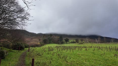 Bergweg-Zu-Den-Bergen-Niedrige-Wolken-Kalter-Wintertag-Comeragh-Mountains-Waterford-Irland