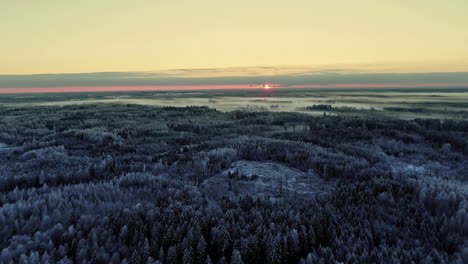 Aerial-of-winter-wonderland-forest-and-sunset-during-golden-hour-and-dusk