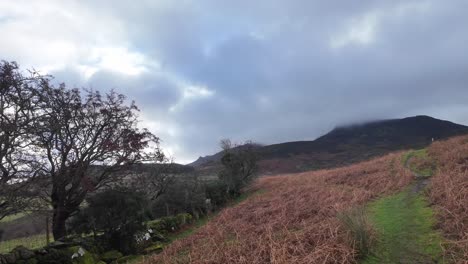 Bergweg-Zu-Den-Bergen-An-Einem-Kalten-Wintertag-Comeragh-Mountains-Waterford-Irland
