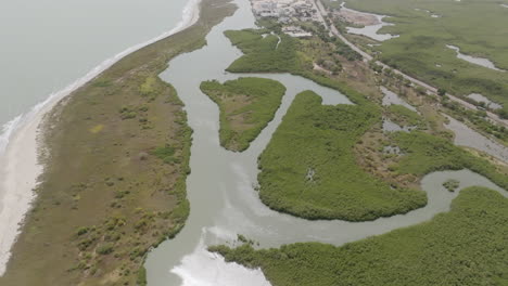 Langsamer-Luftüberflug-Von-Küstenzuflüssen-Und-Grünen-Wasserwäldern-Im-Westen-Gambias