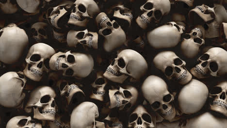 Skulls-Reveal