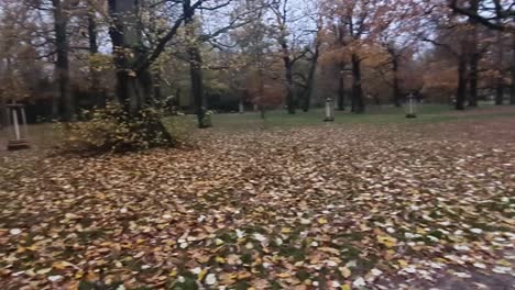 Pan-left-Autumn,-Hassendeide-Park-in-Berlin,-Germany,-30-FPSHD-7-secs
