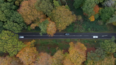 A-country-road-running-through-autumn-woodland-as-seen-from-the-air,-Worcestershire,-England