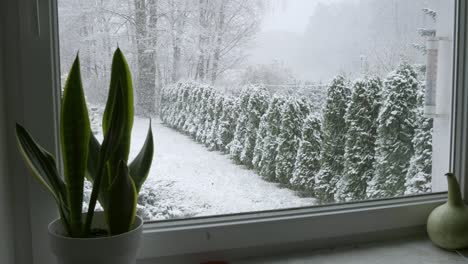 Full-window-view-with-snowing-winter-outside