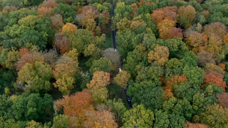 A-country-road-running-through-autumn-woodland-as-seen-from-the-air,-Worcestershire,-England