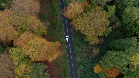 Eine-Landstraße,-Die-Aus-Der-Luft-Durch-Herbstliche-Wälder-Führt,-Worcestershire,-England