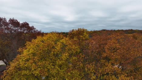 Erhebt-Sich-Aus-Einem-Hinterhof-Zu-Herbstfarben-Und-Stürmischen-Wolken
