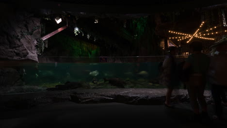 Time-lapse-shot-of-people-going-in-different-direction-in-Sea-Life-Bangkok-Ocean-World-aquarium