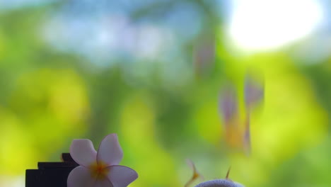 Zeitlupenansicht-Fallender-Blütenblätter-Vor-Grünem,-Verschwommenem-Hintergrund-Auf-Dem-Tisch-Mit-Blumen-Plumeria-Und-Handtüchern