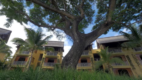 Hotels-Und-Bäume-Im-Tropischen-Resort