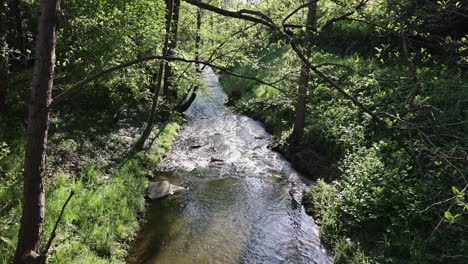 Stream-in-a-deciduous-forest-im-Sauerland