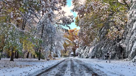 Nieve-Cayendo-De-Un-árbol-Cerca-De-Una-Carretera