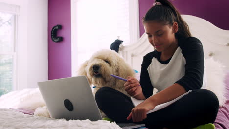 Young-teen-girl-studying-on-her-bed-beside-pet-dog