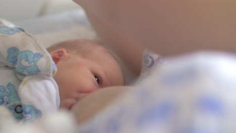 Recién-Nacido-Amamantando-En-El-Hospital-De-Maternidad.