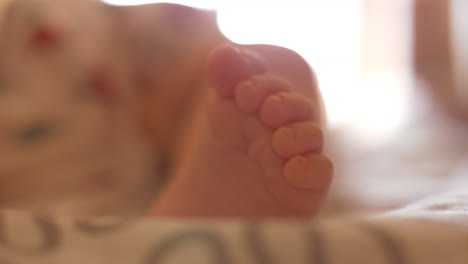 Feet-of-little-baby