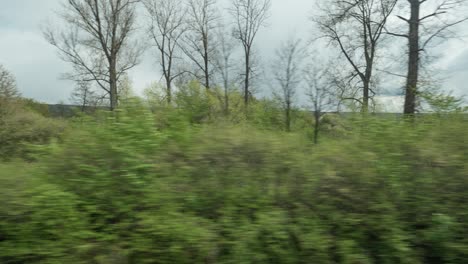 Zeitrafferansicht-Aus-Dem-Zugfenster-Der-Landschaft,-Bäume,-Wälder,-Häuser-Vor-Bewölktem-Himmel
